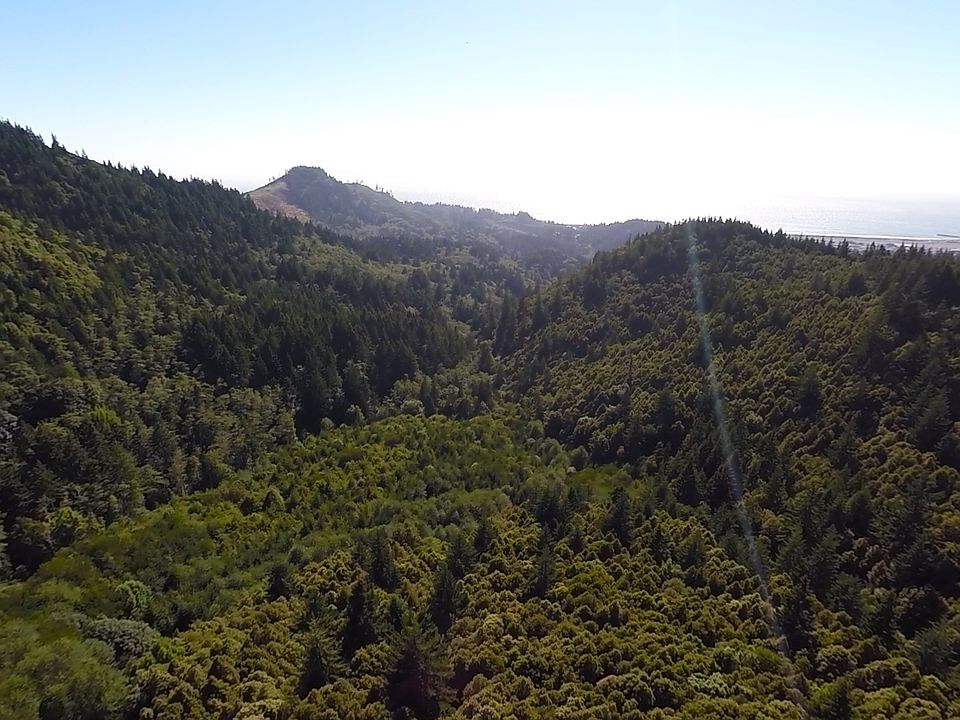 1st image of Grizzly Mountain Road