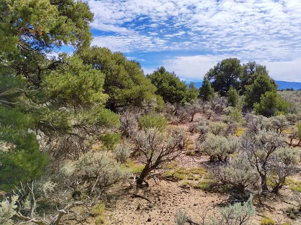 0 Green Tree Ct, San Luis, CO 81152