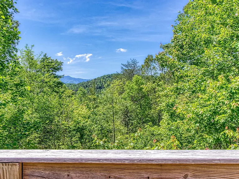3708 Harris Mountain Way — Photo 37