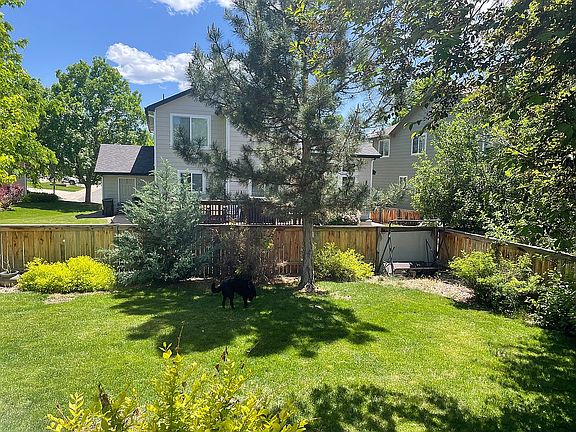 3rd image of 672 English Sparrow Trl