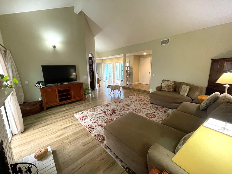 1029 Silver Stallion Dr — Photo 14