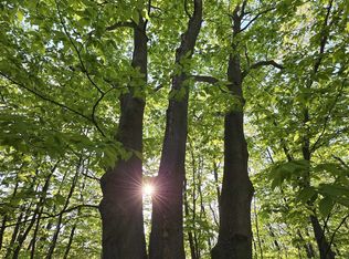 Vl W Falmouth Rd, Cadillac, MI 49601