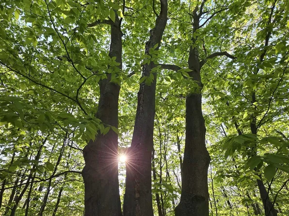 Vl W Falmouth Rd, Cadillac, MI 49601