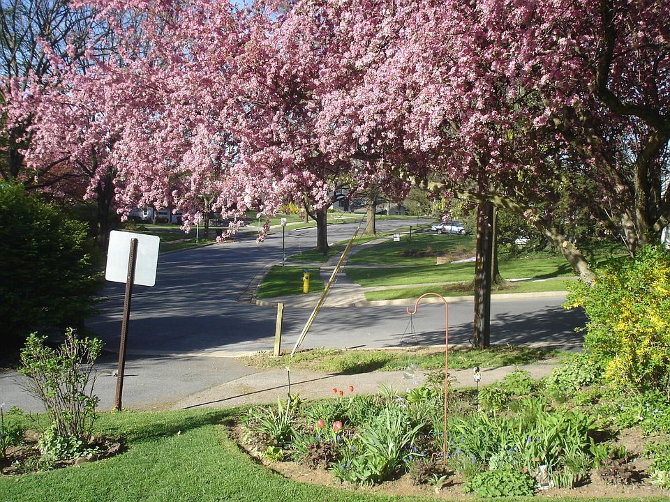 BACK YARD TO GARNER AND BRADLEY NEIGHBORHOOD