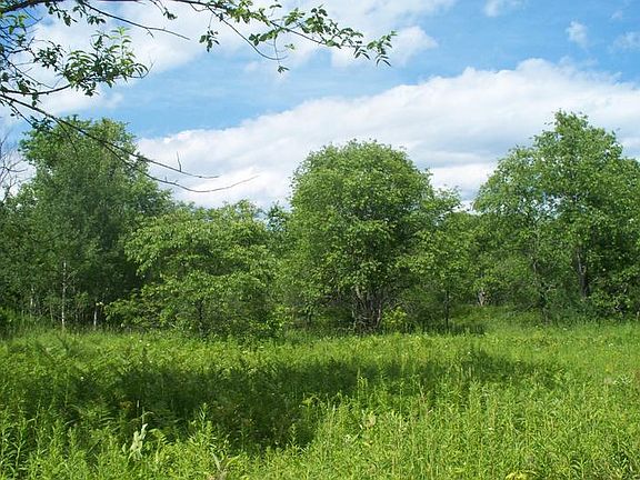 5th image of 6284 County Road 440