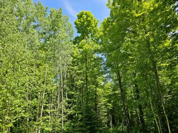 W HERZOG ROAD, Iron Mountain, MI 49801