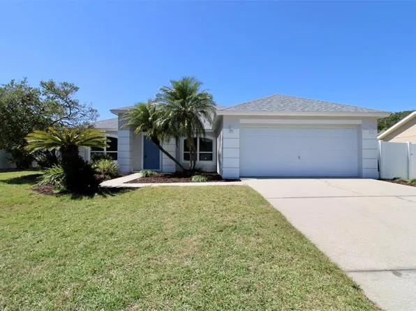 806 Sand Ridge Dr, Valrico, FL 33594