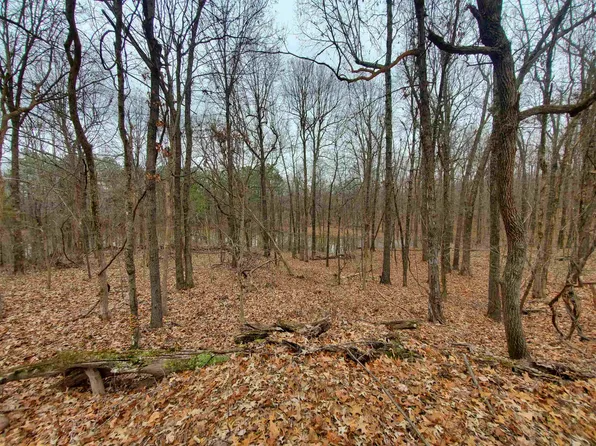 331 County Road 360, Piggott, AR 72454