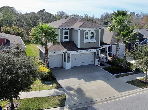 3510 Wicket Field Rd, Lutz, FL 33548