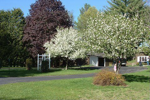 2nd image of 2316 Cedar Ln