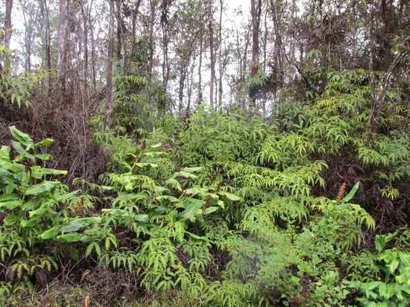 Anuhea St Lot 90, Volcano, HI 96785