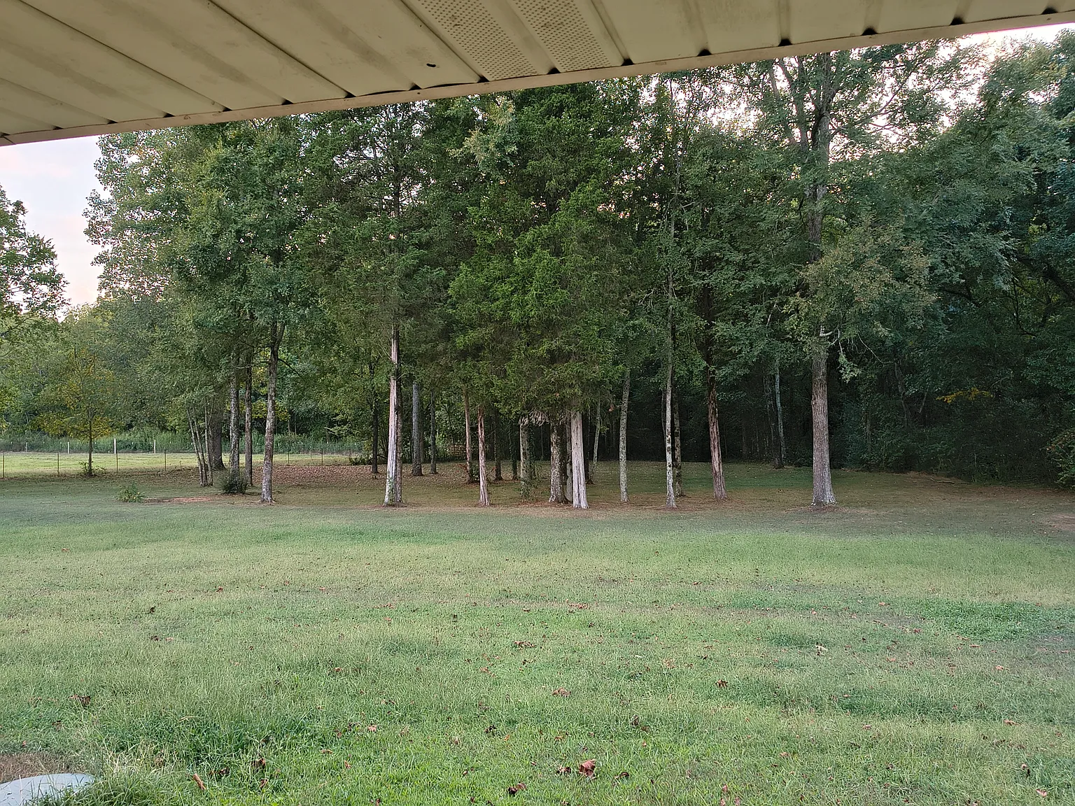 3 bed, 1367 sqft, $1,700 — Photo 4