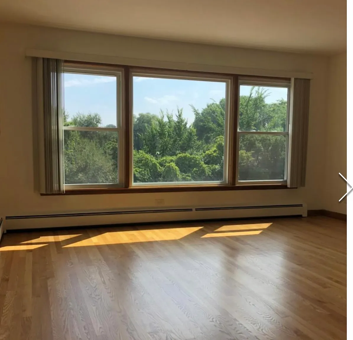 1 bed, 850 sqft, $1,375 — Photo 1
