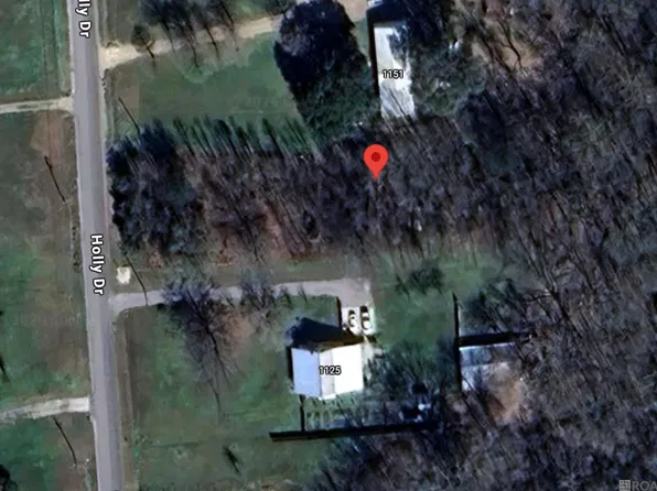 1139 Holly Dr, Slaughter, LA 70777