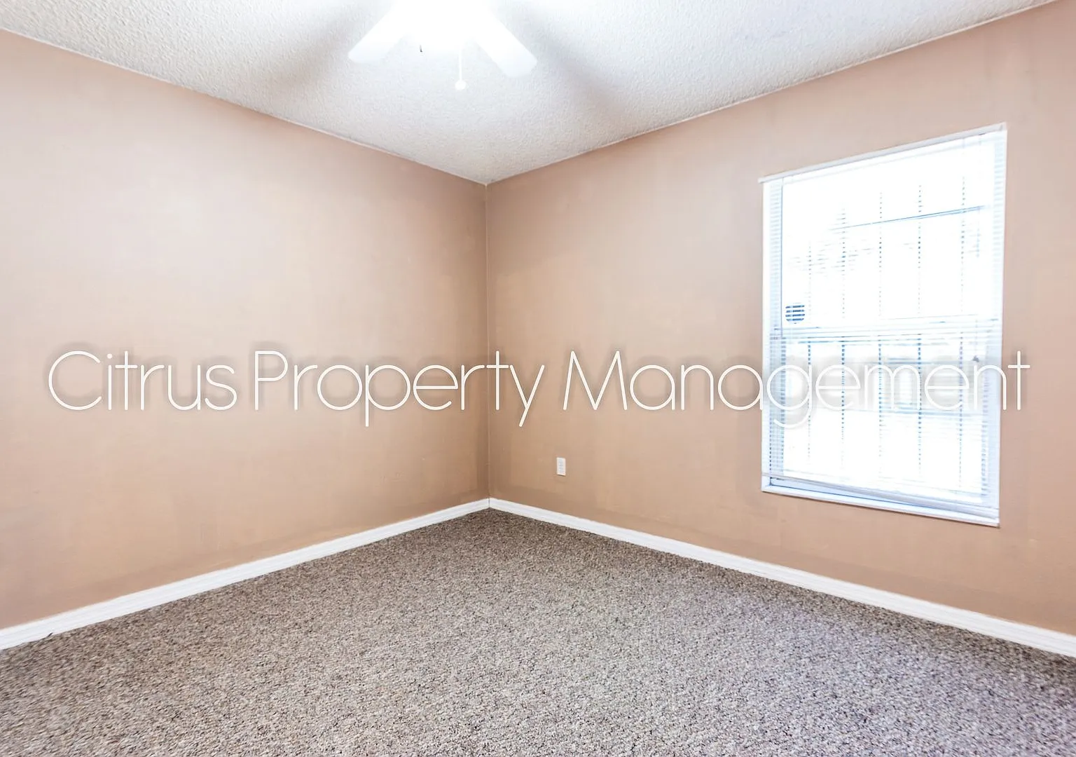 Timberleaf Village 3-Bedroom, 2-Bath Home — Photo 3