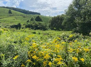 Old Dominion Dr, Rosedale, VA 24280