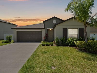 13515 Wild Ginger St, Riverview, FL, 33579