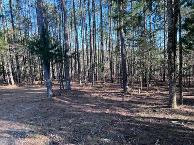 6197 Columbia Road, Appling, GA, 30802
