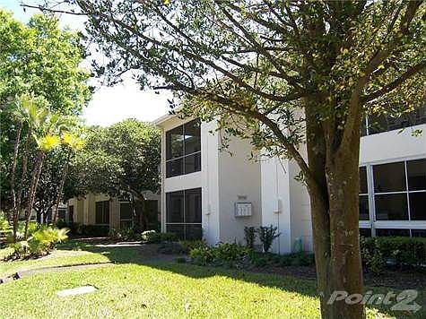 1st image of 3406 Latania Dr APT 325