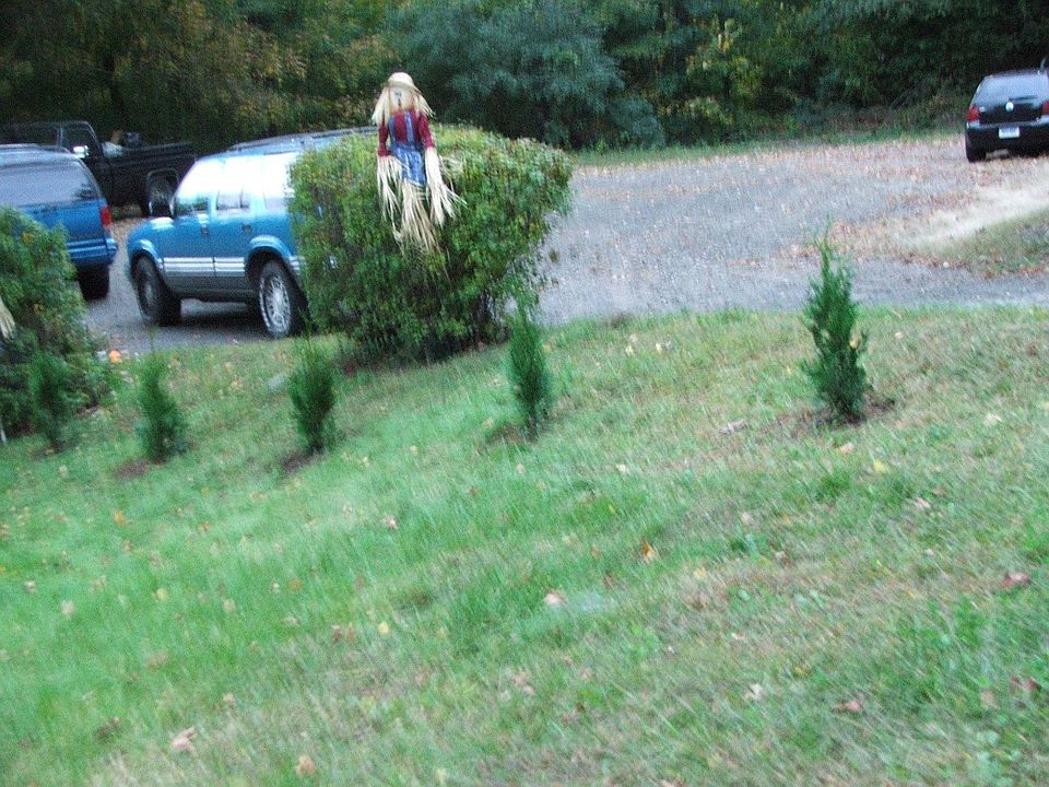 2nd image of 114 Clark Hill Rd