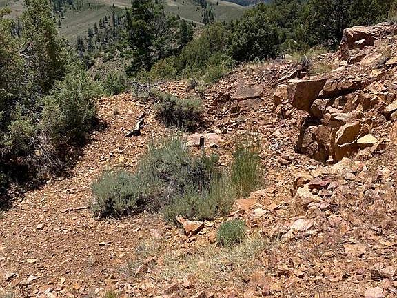 3rd image of TBD Goose Creek Road