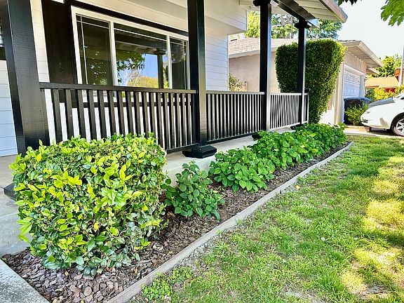 Landscaping in front