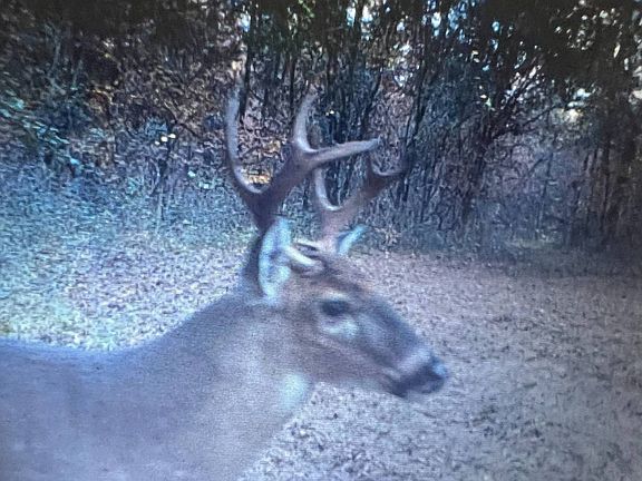 3rd image of 0 Lott Rd