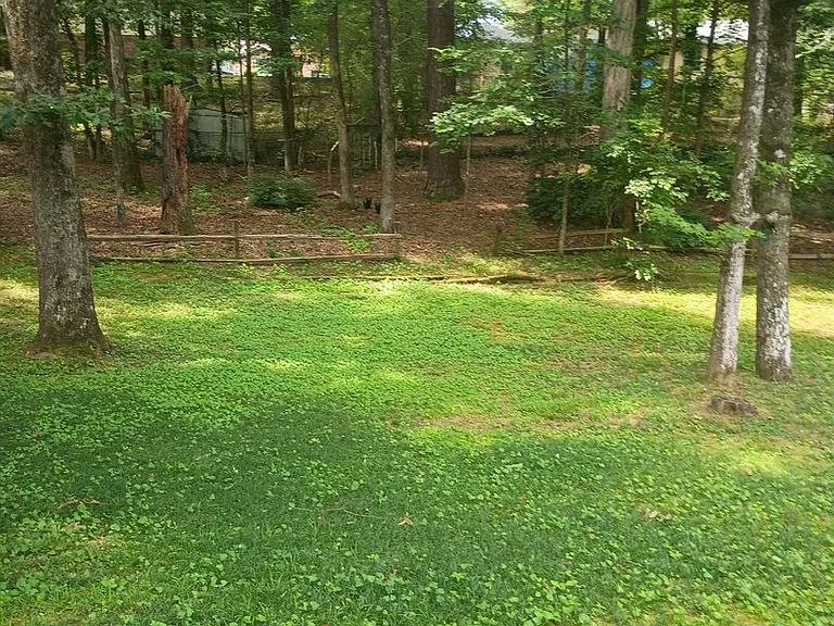 4437 Old Hickory Ln — Photo 25