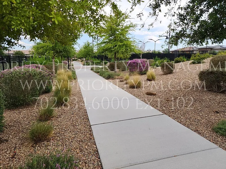 684 Sunray Park St — Photo 9