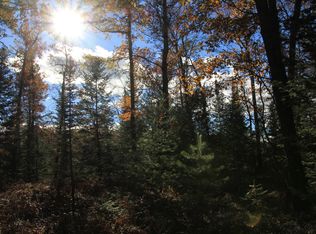 E County Line Rd, South Branch, MI 48761