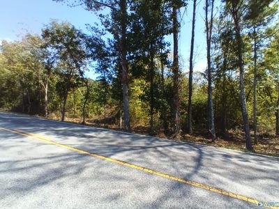 Highway 49e Bluff City Rd, Somerville, AL, 35670