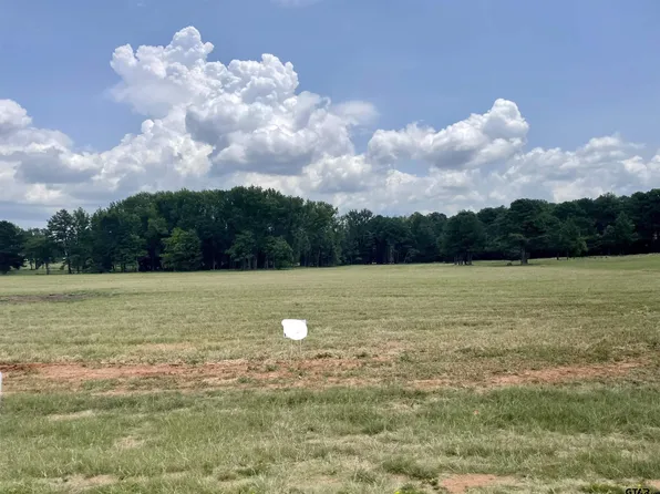 TRACT 10 Fm 1892, Frankston, TX 75763