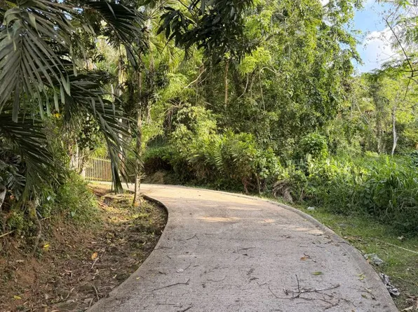 Carr 836 Km 3.10 Sector Los Nazarios Bo, Guaynabo, PR 00971