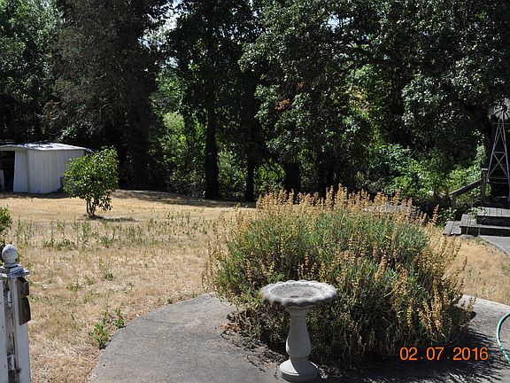 Back Yard to Larson Creek