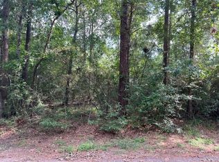1006 Jefferson River Cir LOT 24, Montgomery, TX 77316