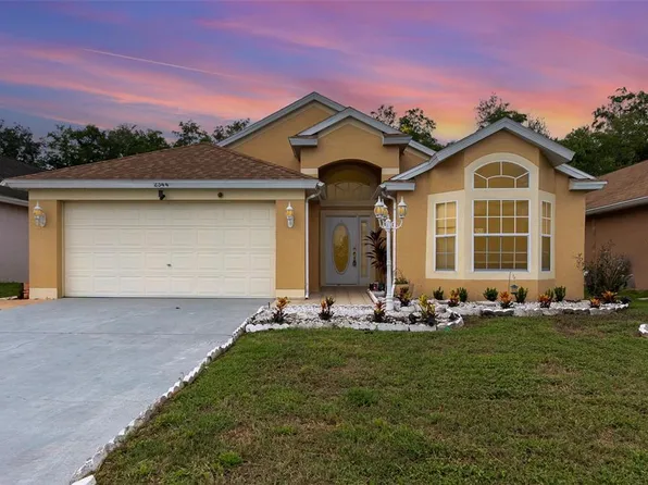 2344 Lily Pad Ln, Kissimmee, FL 34743