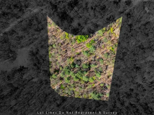 Tbd Camp Hollow Ln, Fulks Run, VA 22830