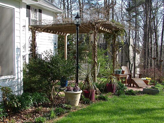 vine covered pergola and patio
