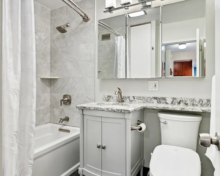 1255 N Sandburg Ter #2309 — Photo 12