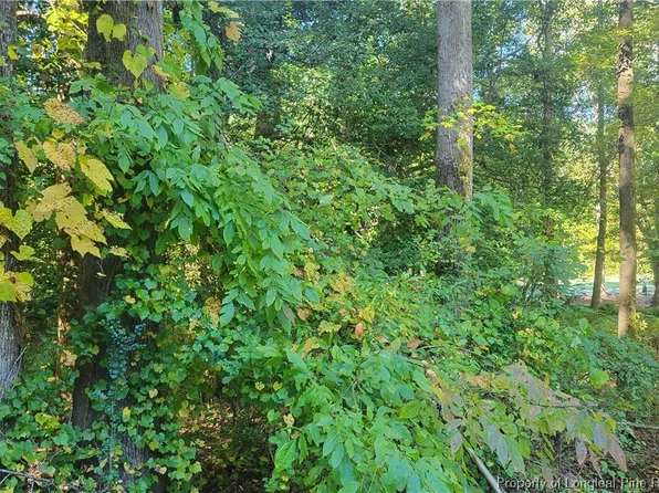 636 Angus Ct, Sanford, NC 27332