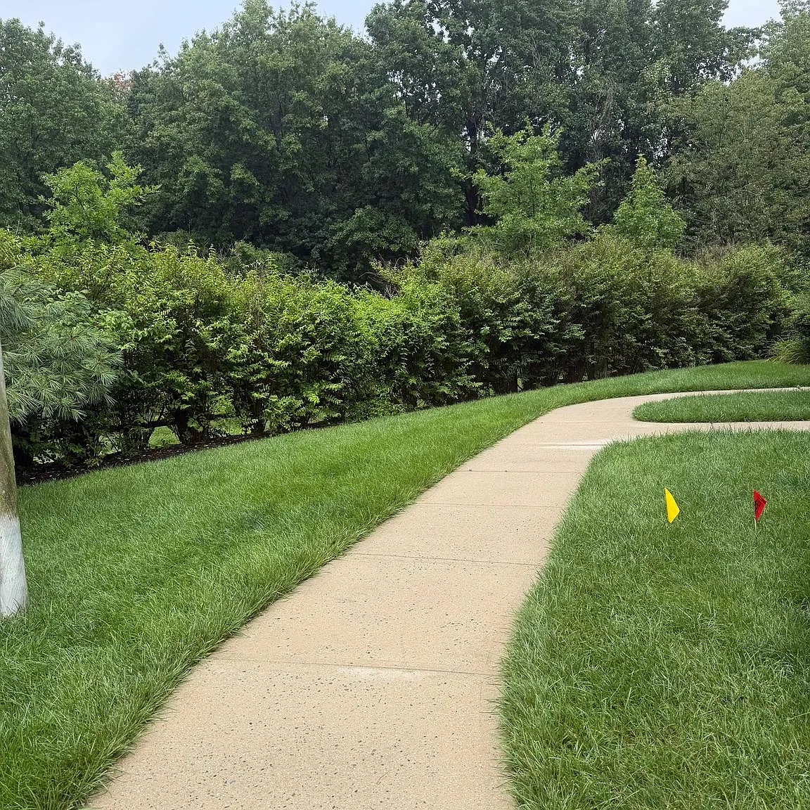 2 bed, 2.0 bath, 1240 sqft, $2,650 — Photo 4