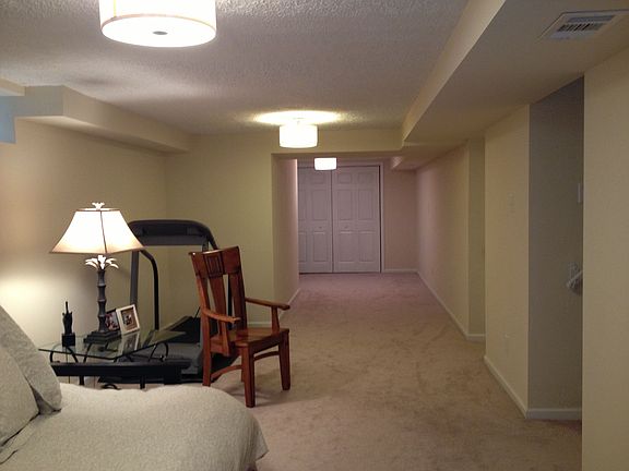 Downstairs/Basement looking to back of house - Newly Finished