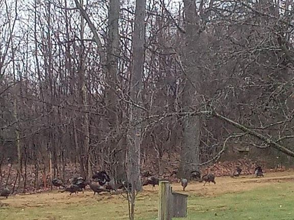 5th image of 475 Green Springs Rd