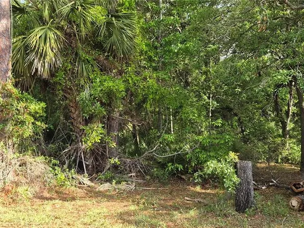 9351 NW 120th St Lot 2, Chiefland, FL 32626