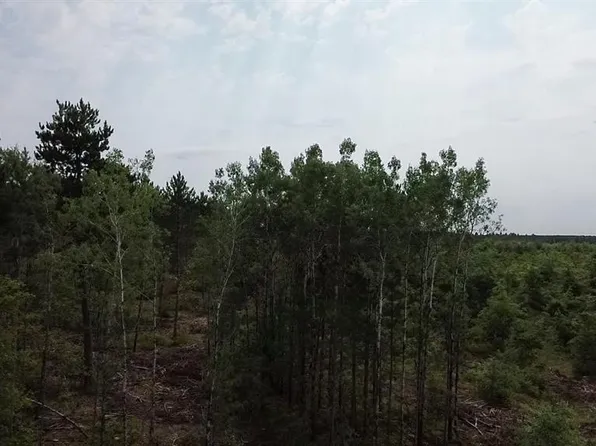 22XX Tomahawk Lake Road, Barnes, WI 54873