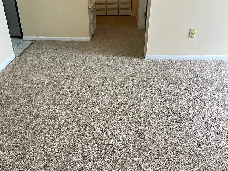 14 Cedar Ct — Photo 6