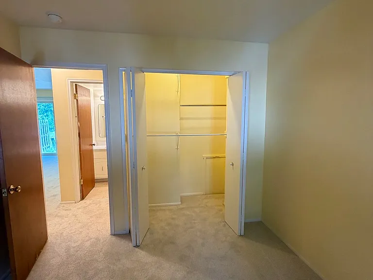 Master bedroom with new carpet in 2026