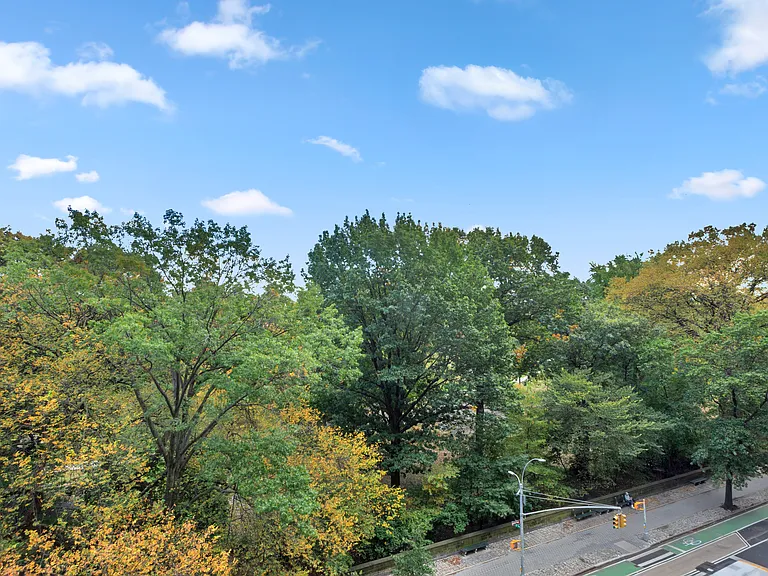 354 Central Park W #5 — Photo 7
