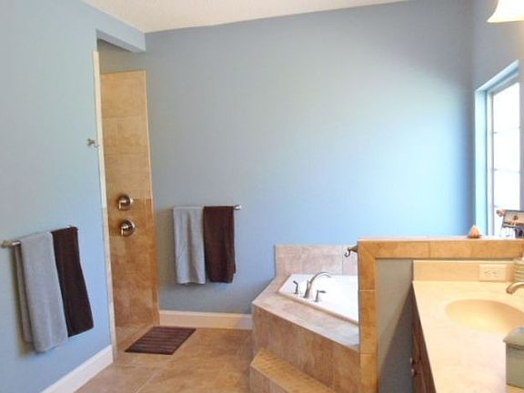 Master Walk-in Shower