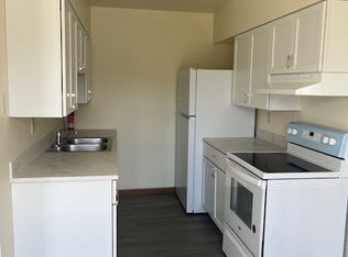 132 S 1st St APT 1W, Wilmington, IL 60481